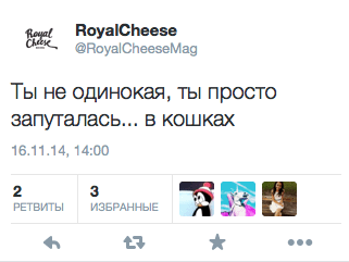 Ты не одинокая, ты просто запуталась... в кошках