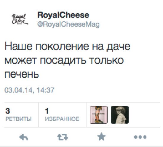 Наше поколение на даче может посадить только печень
