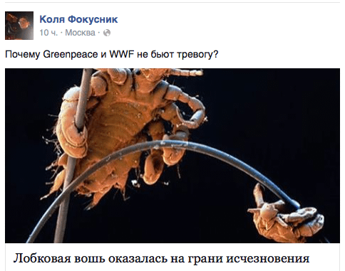 Почему Greenpeace и WWF не бьют тревогу? Лобковая вошь оказалась на грани исчезновения