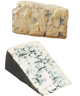 Gorgonzola Dolce and piccante