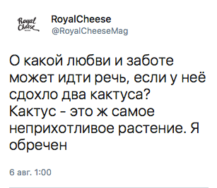 О какой любви и заботе может идти речь, если у неё сдохло два кактуса?  Кактус - это ж самое неприхотливое растение. Я обречен
