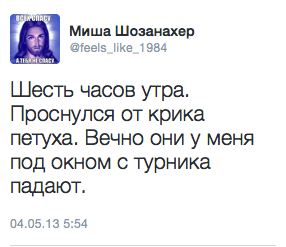 Шесть часов утра. Проснулся от крика петуха. Вечно они у меня под окном с турника падают.